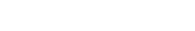 L1